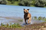 STAFFIE 183